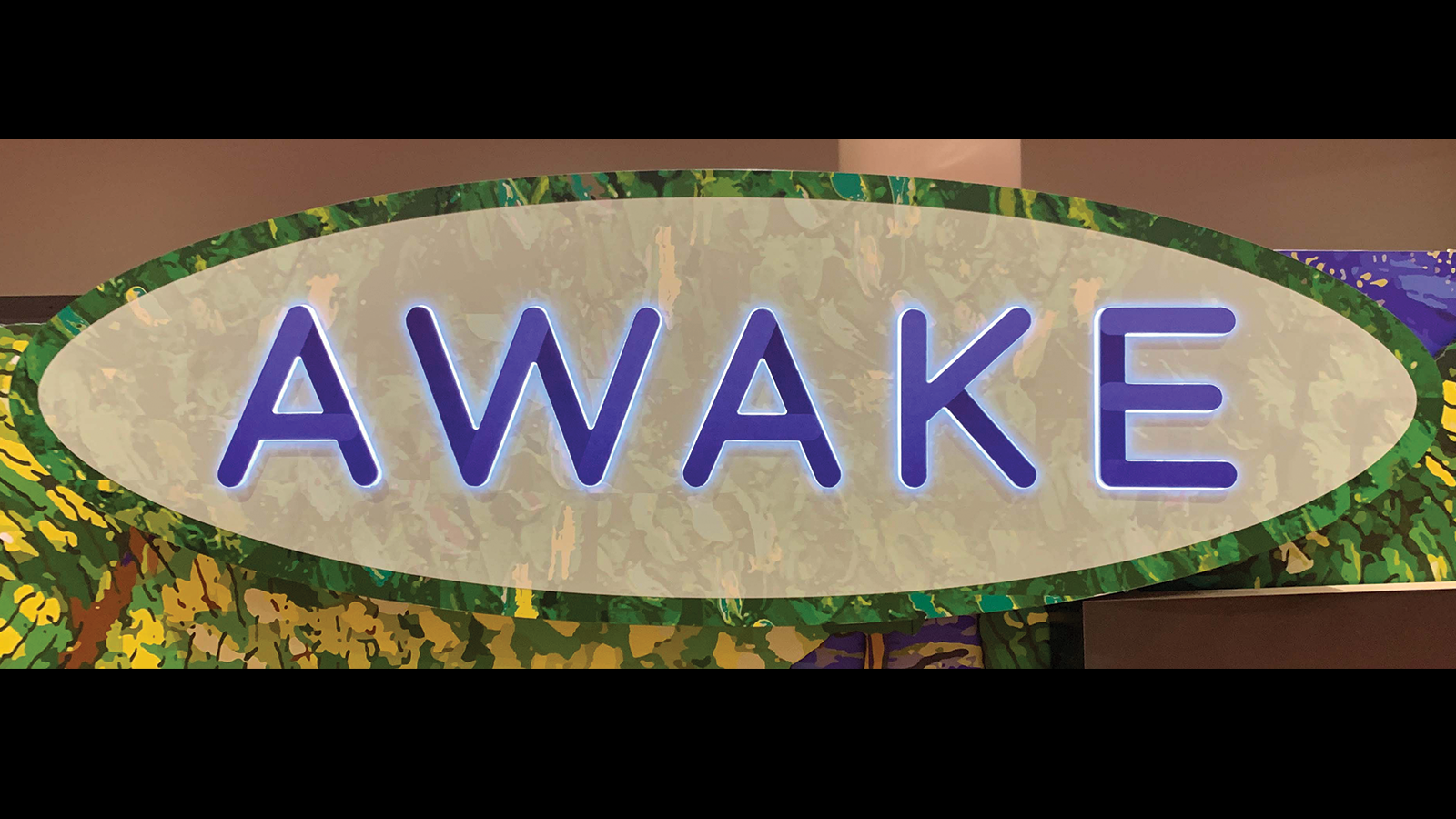 Awake 4